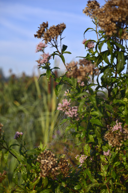 Nad Zalewem Karwackim Dariusz WojtaIa #318751