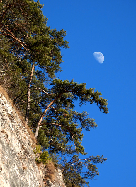 Przełom Białki darwojt #338719