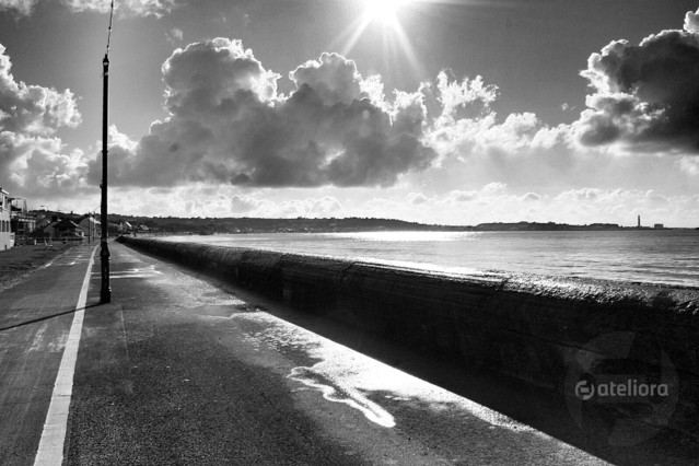 Agnieszka Ilska #279922