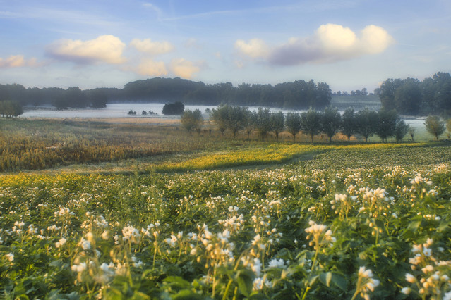 Sławek Rezerwa 