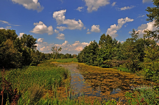 Zbigniew Kapusta #255919
