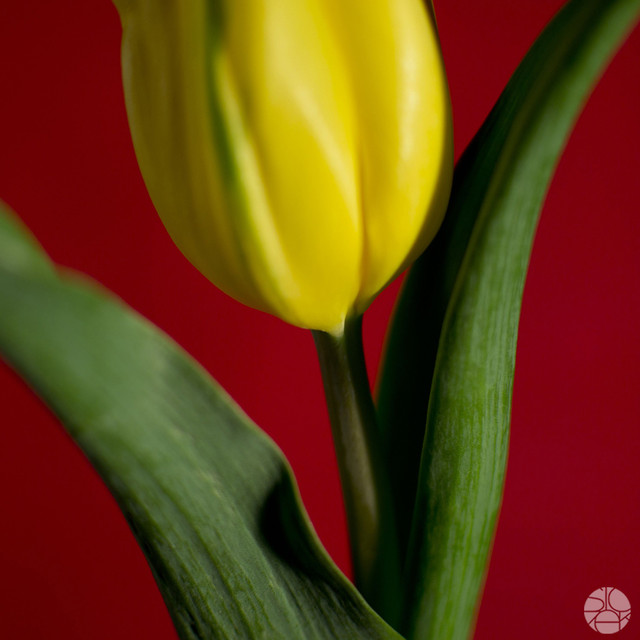 Łukasz Siczek #241138