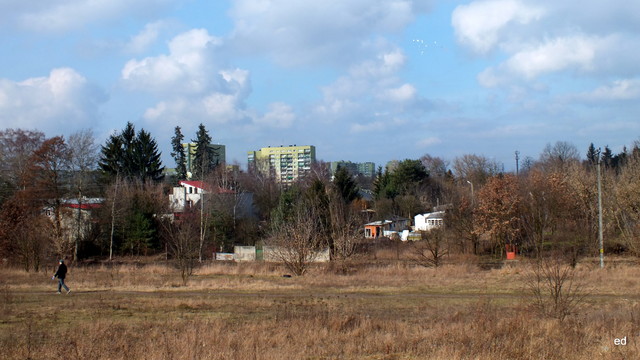 moje osiedle Picasa #290351