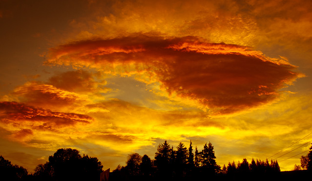 Konrad Sochacki #170149