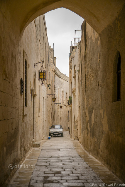 J.Pawel Pelech #300683