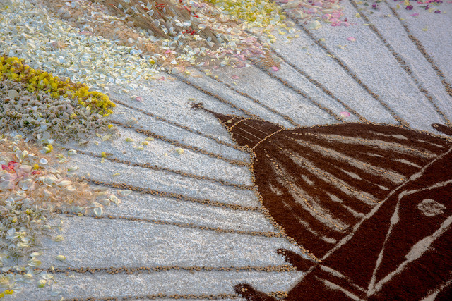 niebieskacytryna #295184