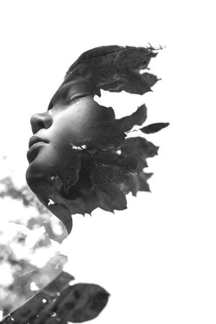 Joanna Rebejko #284197