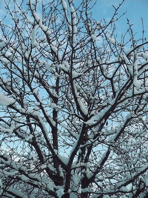 Sandra Zwolińska #195624