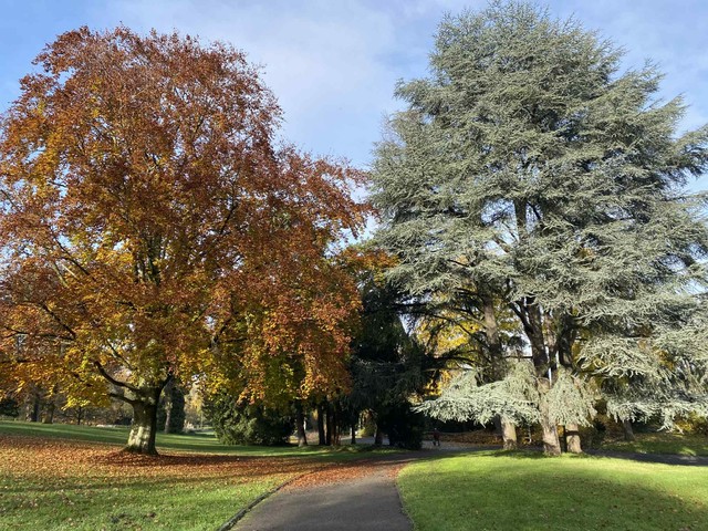 Edmund wronka #348461