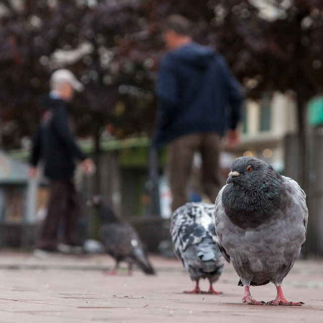 Poranny spacer po Bytomiu. W poszukiwaniu porannej kawy ;)