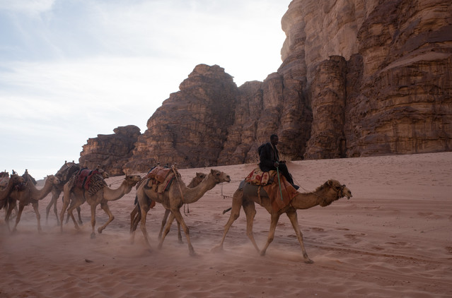 Jacek Pióro #322924