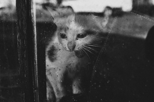 FiorOf Processed with VSCOcam with b6 preset