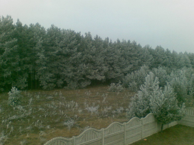 Janusz Metzger #199212