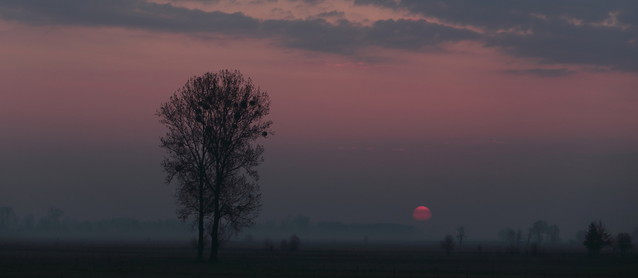 Koscijanczuk J.+48606255629 POLSKA 64-510 Wronki os.Borek 8D/9