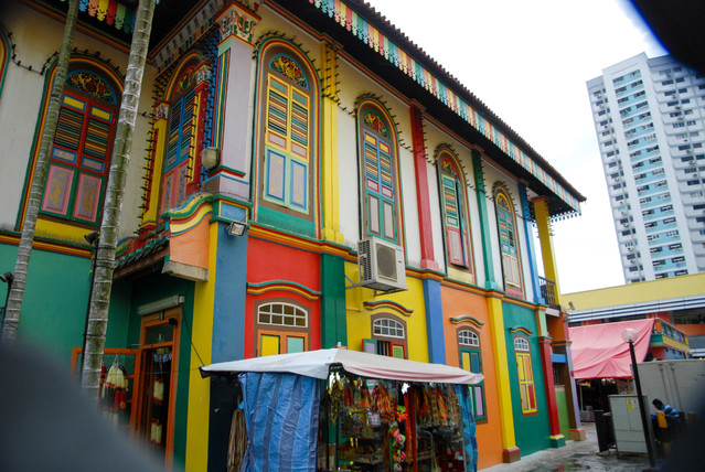 Jacek Pióro #301815