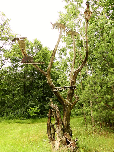 Dariusz Mazurek #132371