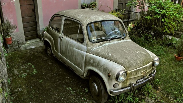 bono800 