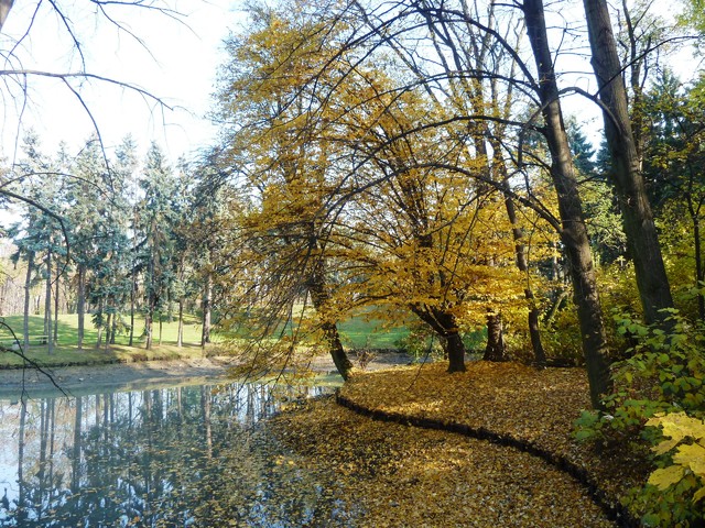 Barbara Gładysz-Cieślak #117926