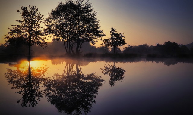 when the world wakes up upside down atenytom #341450