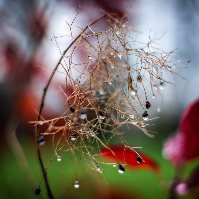 SONY DSC SONY DSC Tomasz Naglik #234669