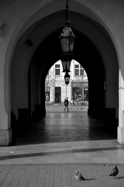Picasa 