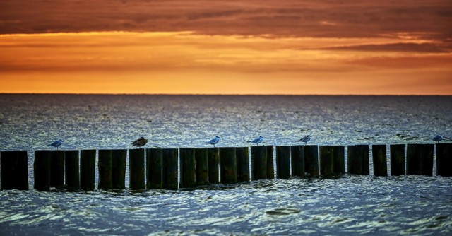 SONY DSC SONY DSC Tomasz Naglik #348088