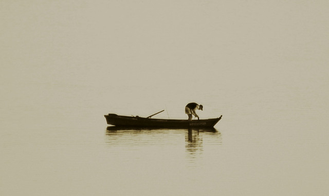 chłop z Mazur... Stanisław Hawrus #316186