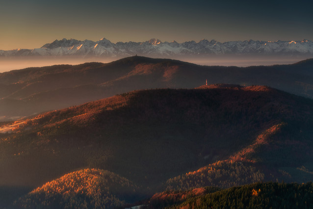 AUGUSTYN SYBIDLO #348497