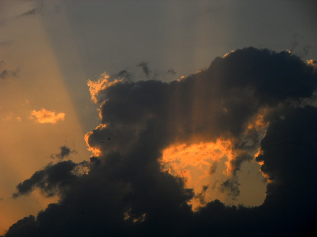 SAMSUNG DIGITAL CAMERA Picasa #166282