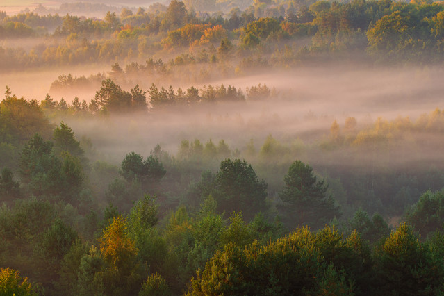 Marcin Rydzewski Poranek na jurze