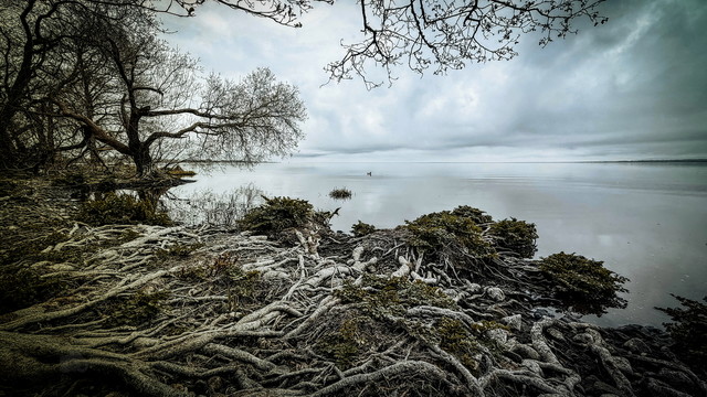 what you can't see atenytom #348859