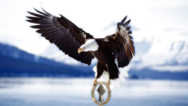 Piotr Michalak #279957