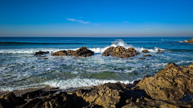 Rafal Figielek #348713