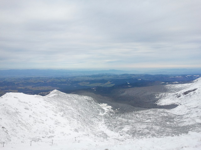 SAMSUNG Robert Wierzbicki #111585