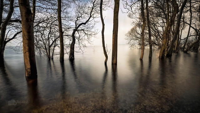 floating nature atenytom #348701