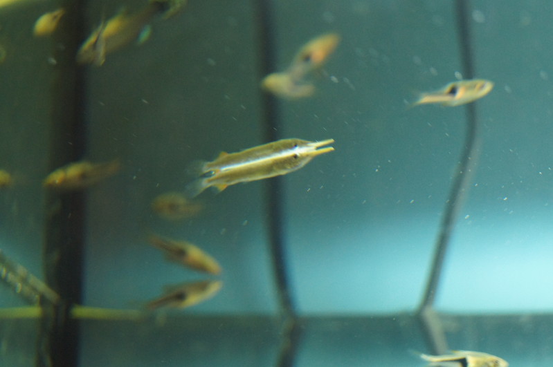 Derwisz | SONY DSC