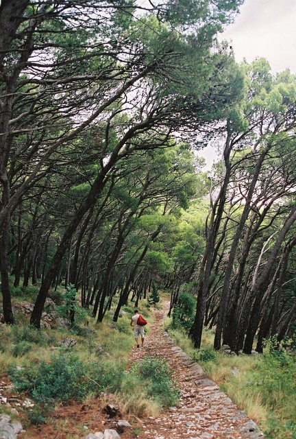 Katarzyna Wasińska #137553