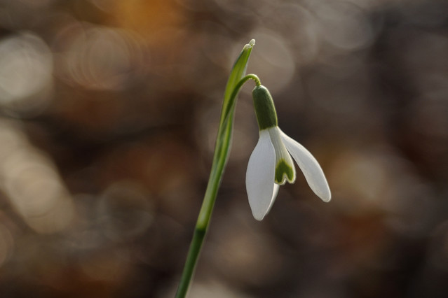 Sławek Rezerwa #348759