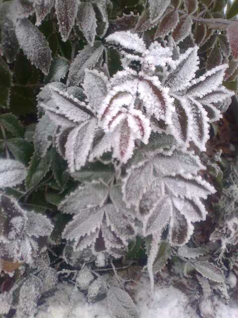 Bogumiła Sipel #139284