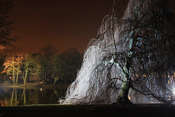 Picasa zimowy wieczór światła w Łazienkach III
