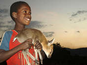 Witeksplorer Spotkanie w buszu