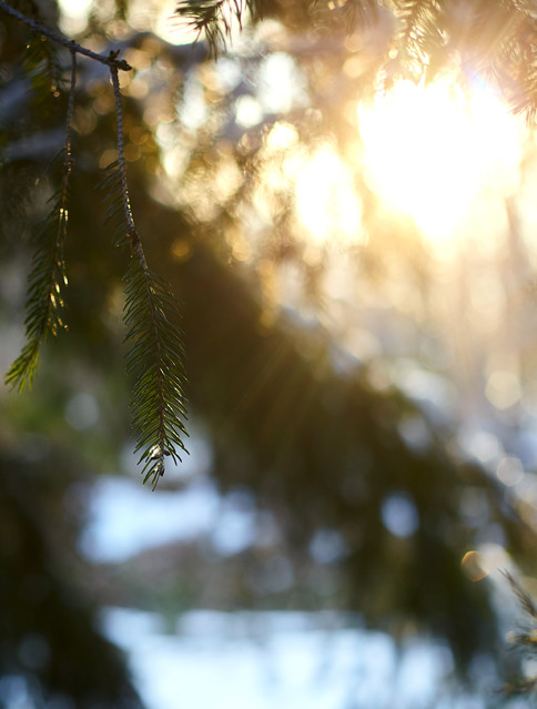 Krisstofferson #338945