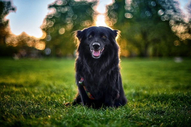 Tomasz Naglik #348908