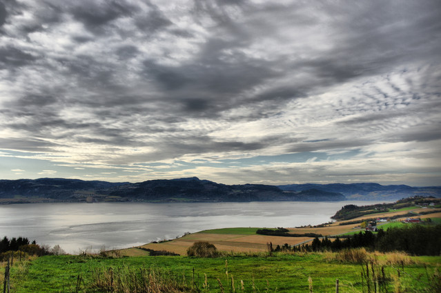 Tomasz Sławinski #128849