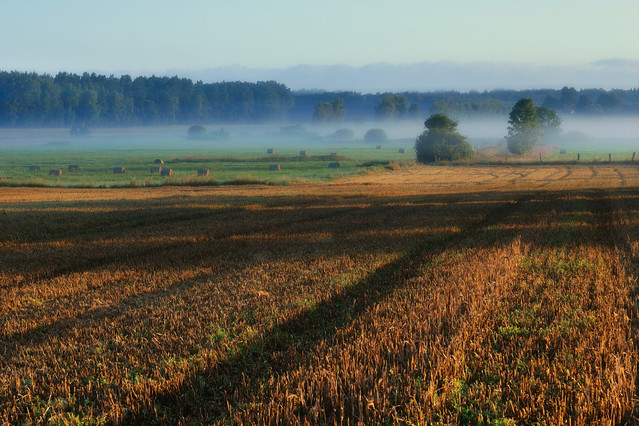 Sławek Rezerwa 