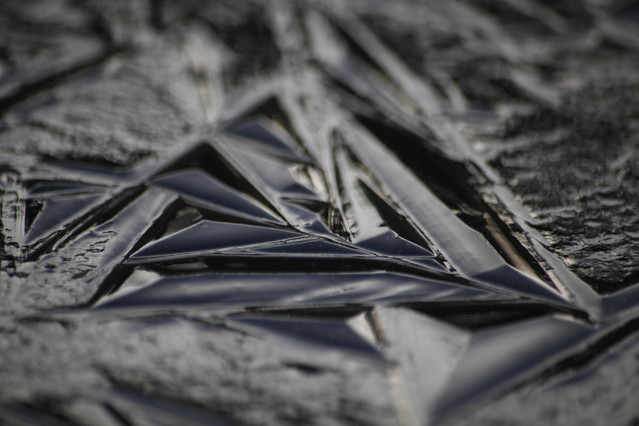 Tomasz Pisulla #312248