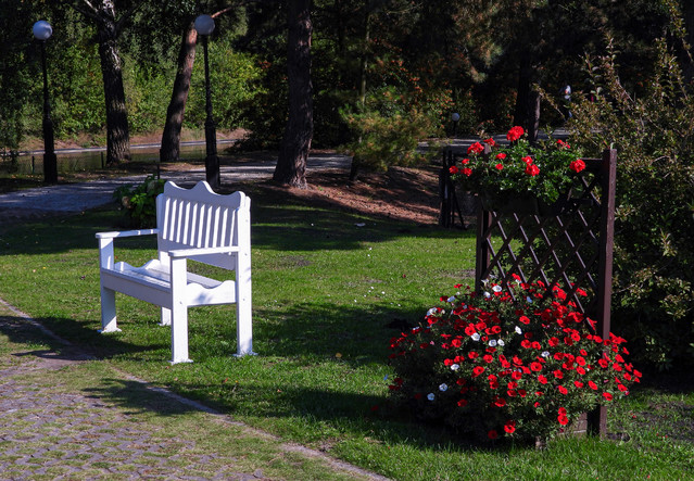 darios #349613