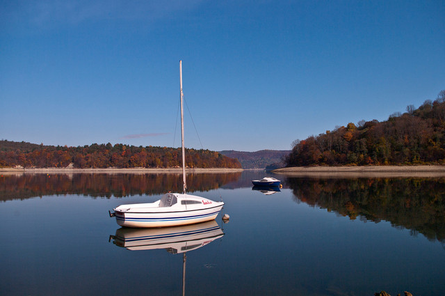 Barbara Prasnowska #264017