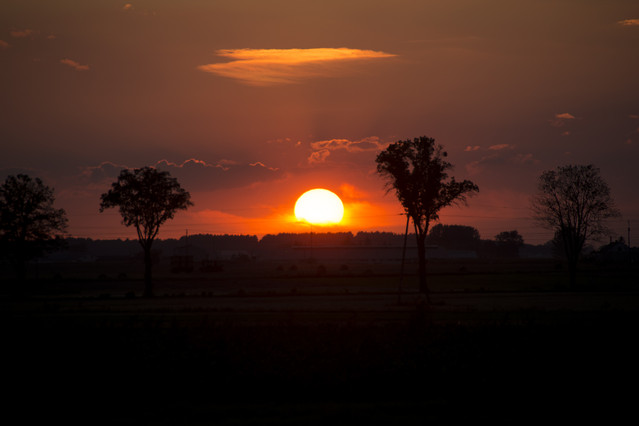 Przasnysz, widok z ul. Rolniczej darios #262009