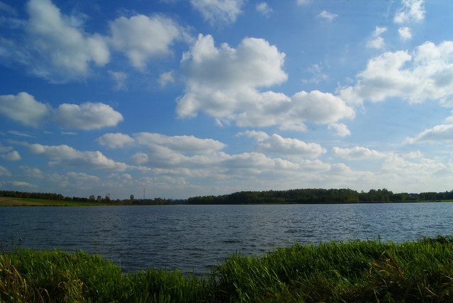 SONY DSC Misiekmaestro #173692